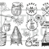 Иллюстрация Мёд